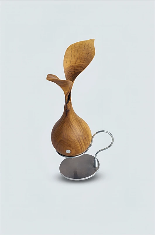 »Olivenholz in the shape« von Jürgen Fuhr