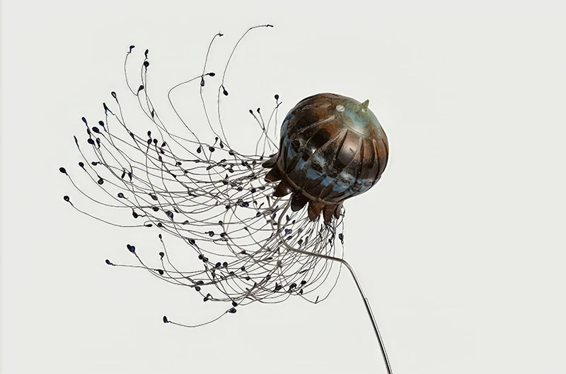 »Schwebende Meduse« von Jürgen Fuhr